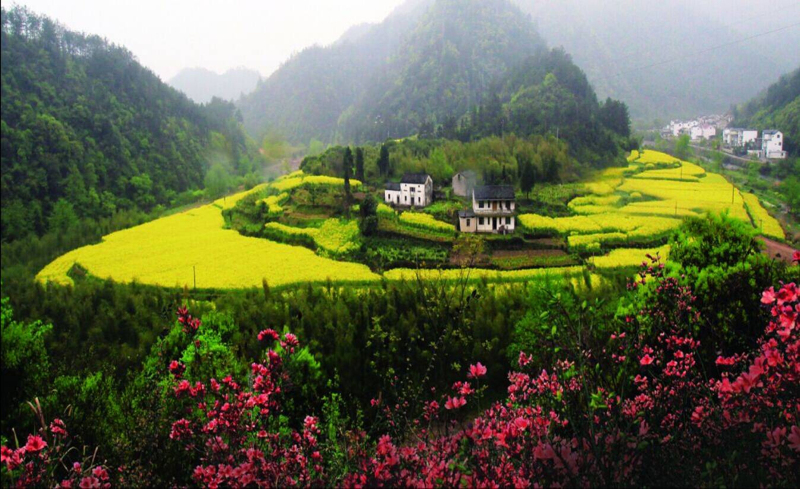 01孔灵村村景图