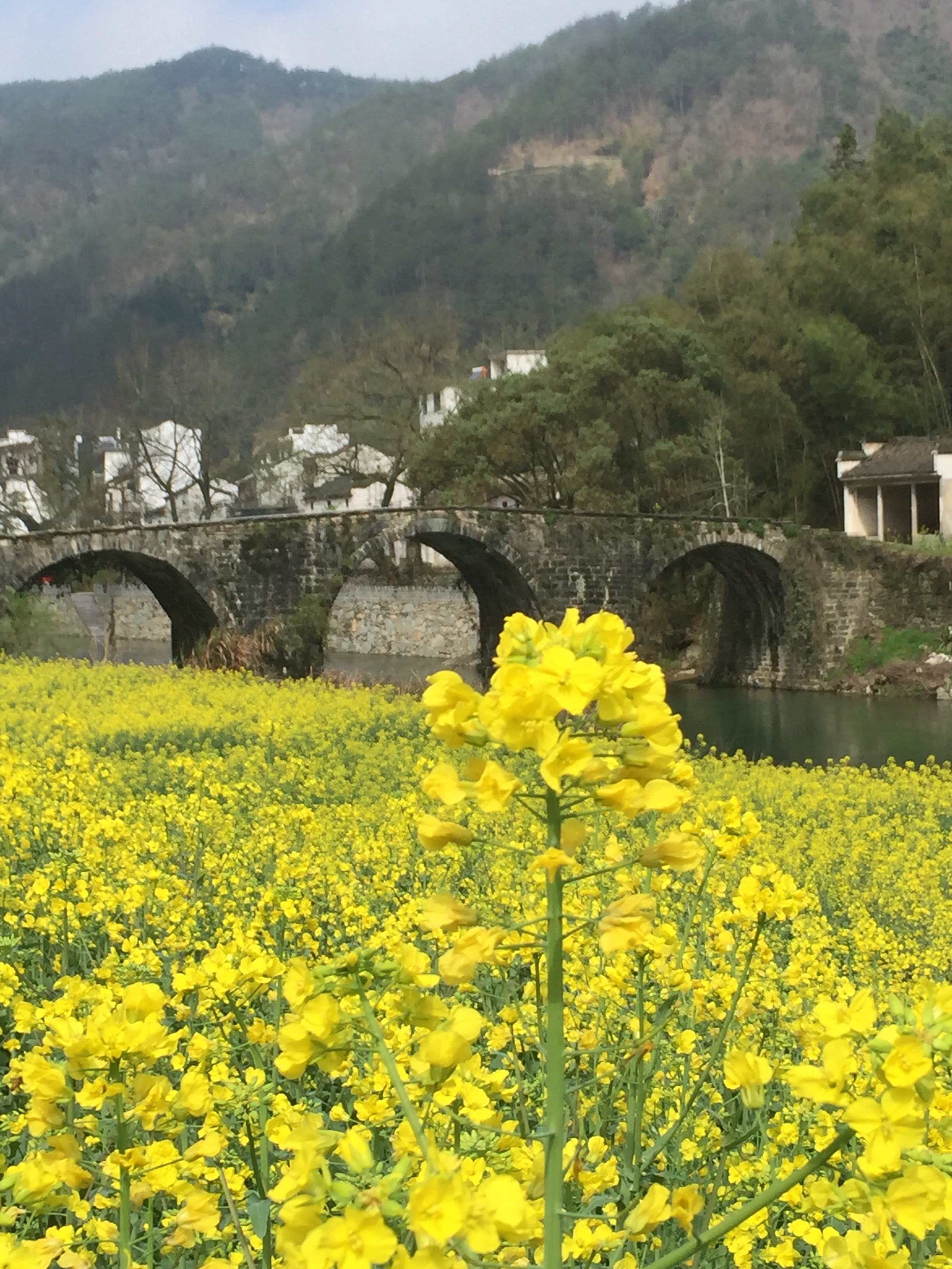 02芳村村村内景图